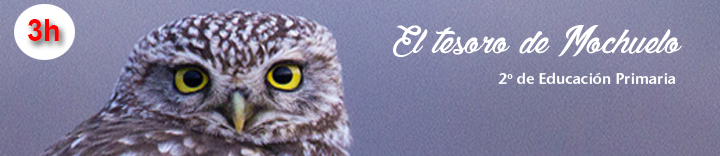 Banner Mochuelo