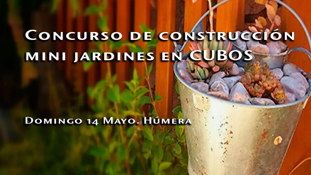 Concurso de construcción de mini-jardines en cubos